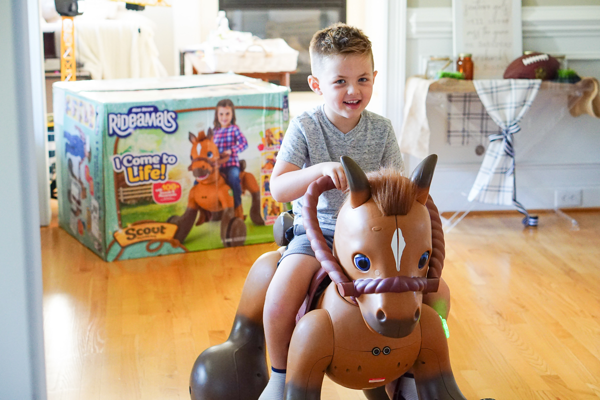 Meet Scout the new Rideamal Pony Every Kid Wishes For Ride On Toys