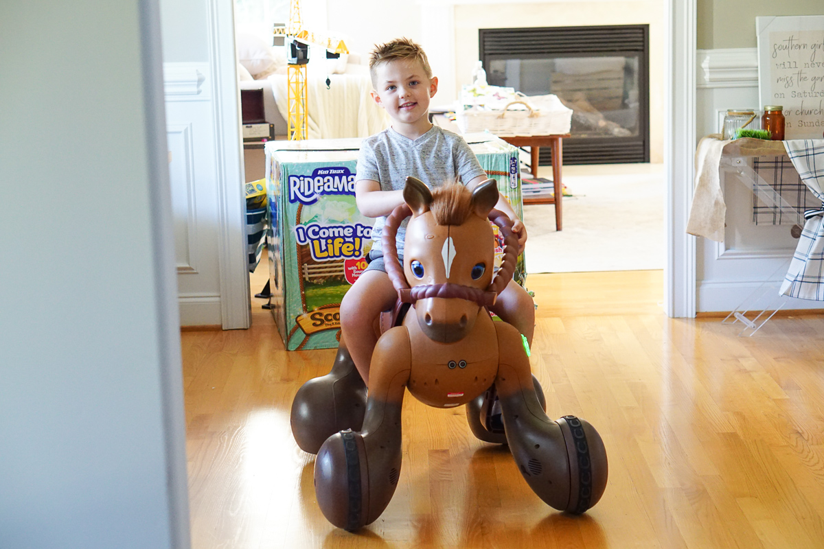 Meet Scout the new Rideamal Pony Every Kid Wishes For Ride On Toys