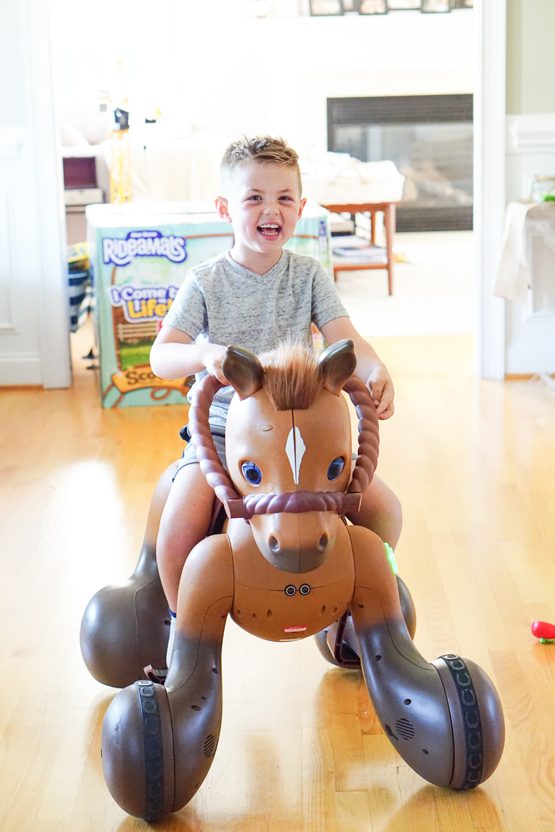 Meet Scout the new Rideamal Pony Every Kid Wishes For Ride On Toys