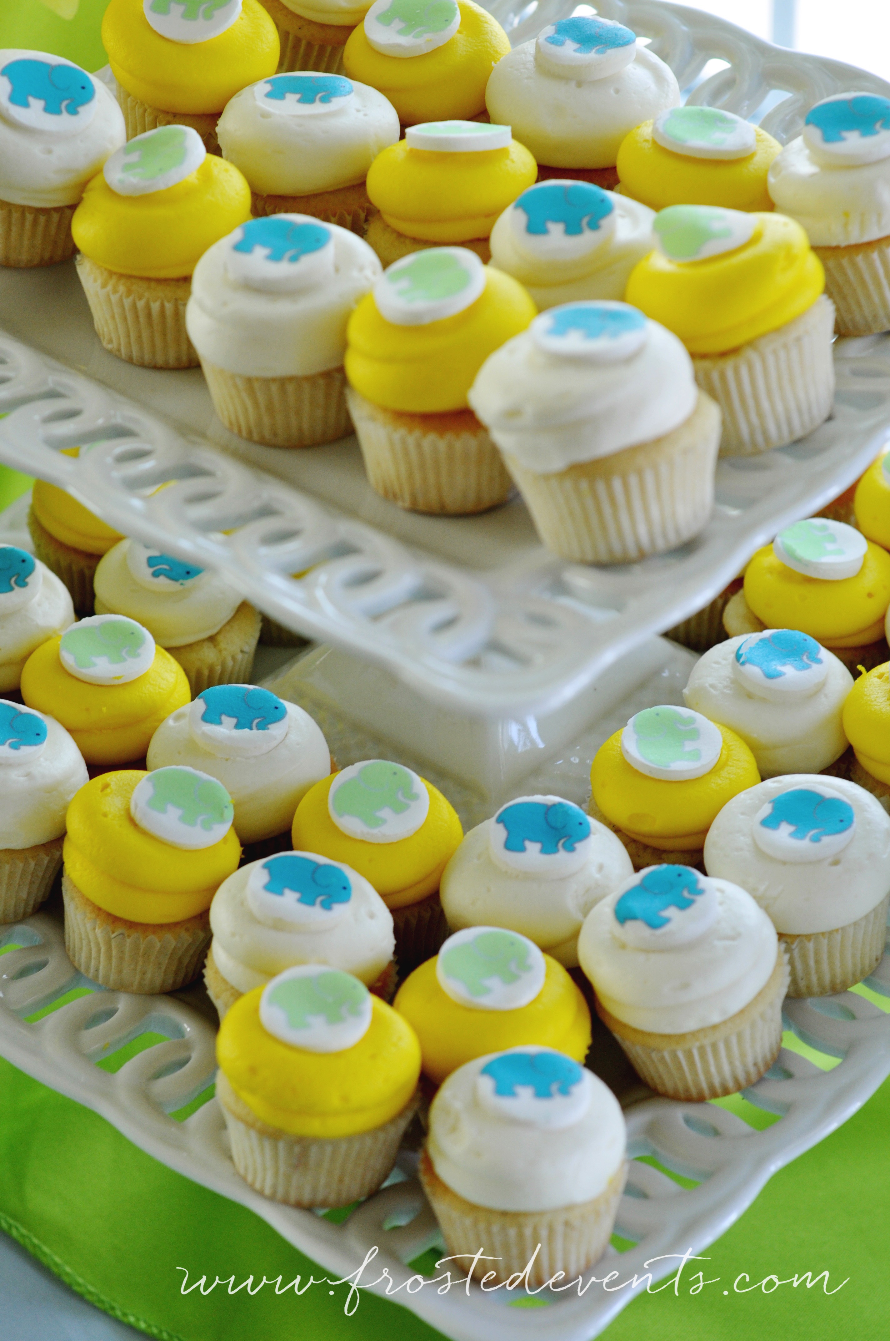 georgetown-cupcakes-bright-fun-first-birthday-party-josh-frostedeventscom-1