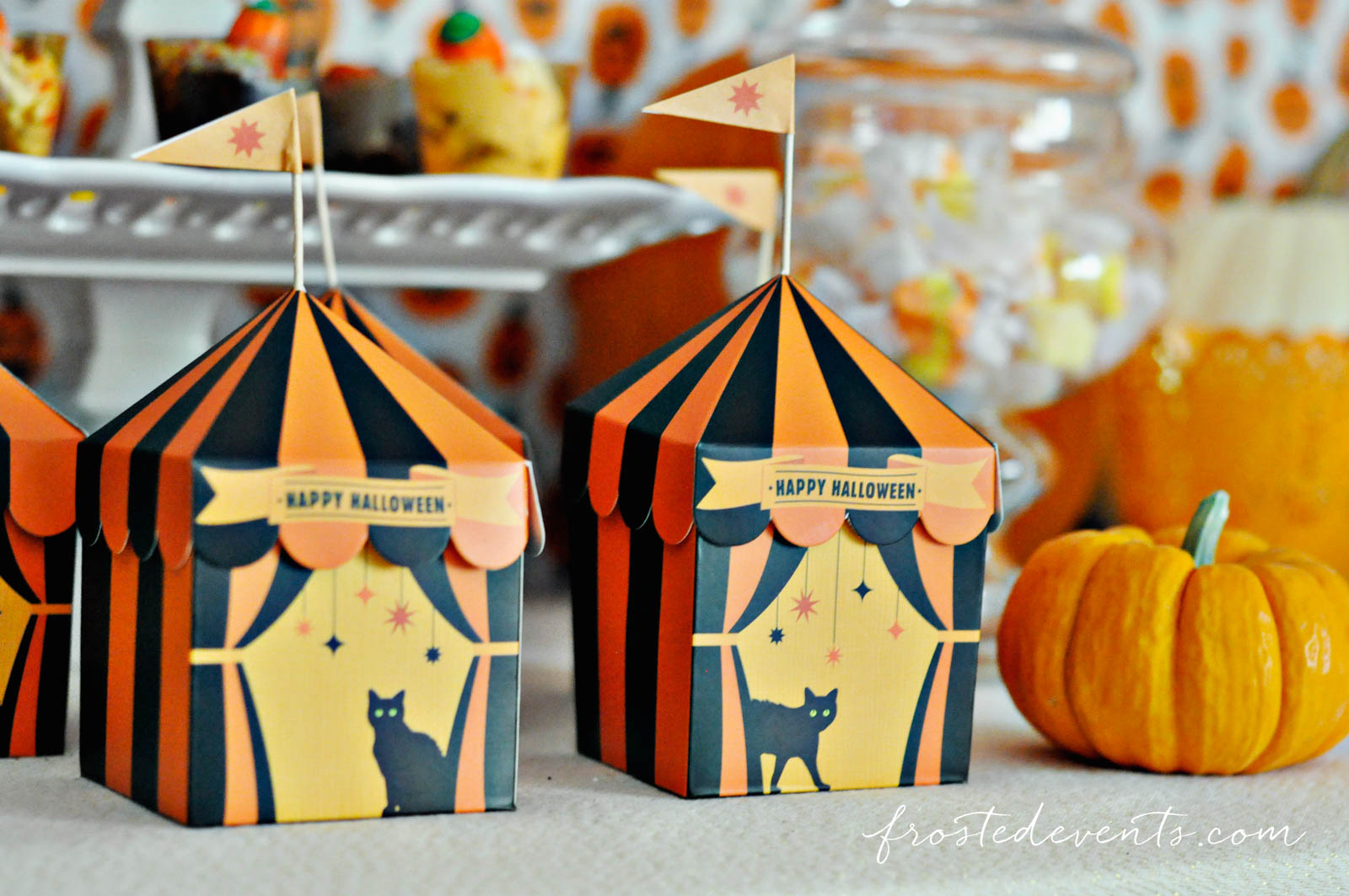 Halloween Ideas for Kids- Halloween Party Pumpkin Theme frostedevents.com