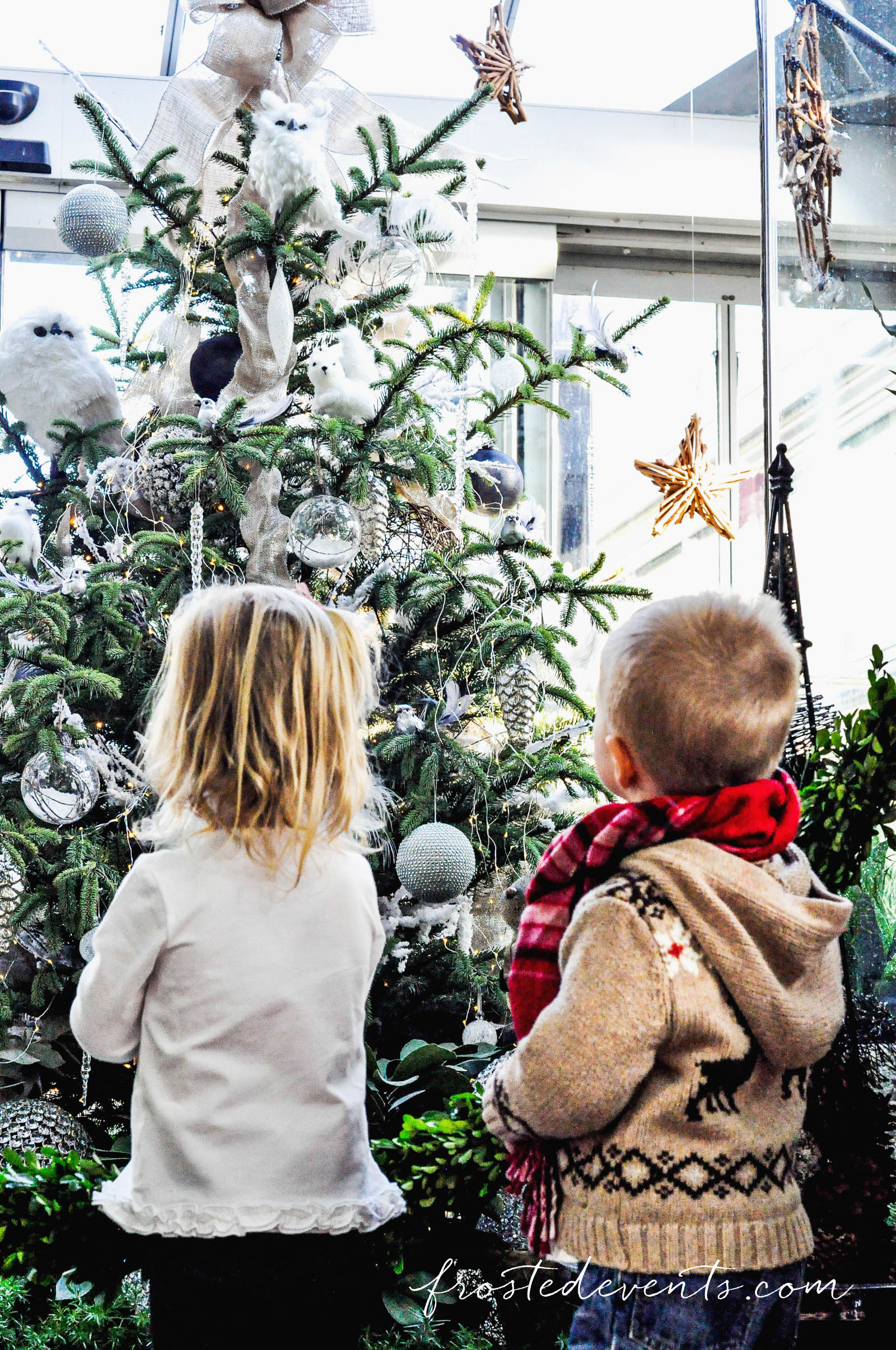Washington DC Attractions- Christmas at the US Botanic Gardens
