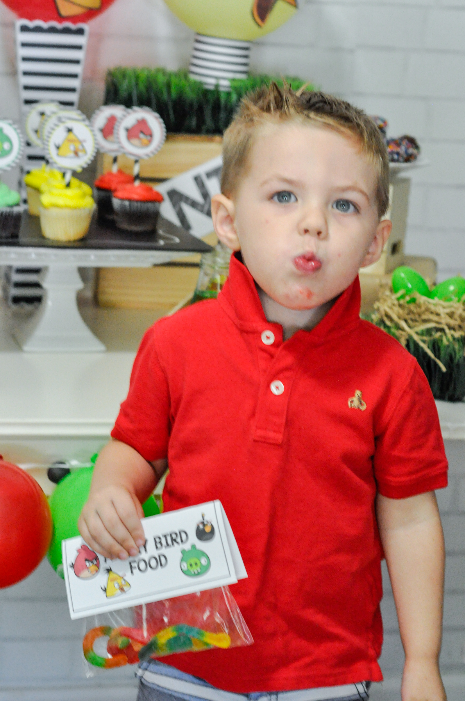 Angry Birds Party Ideas and Party Printables via @frostedevents Kids Party Ideas 
