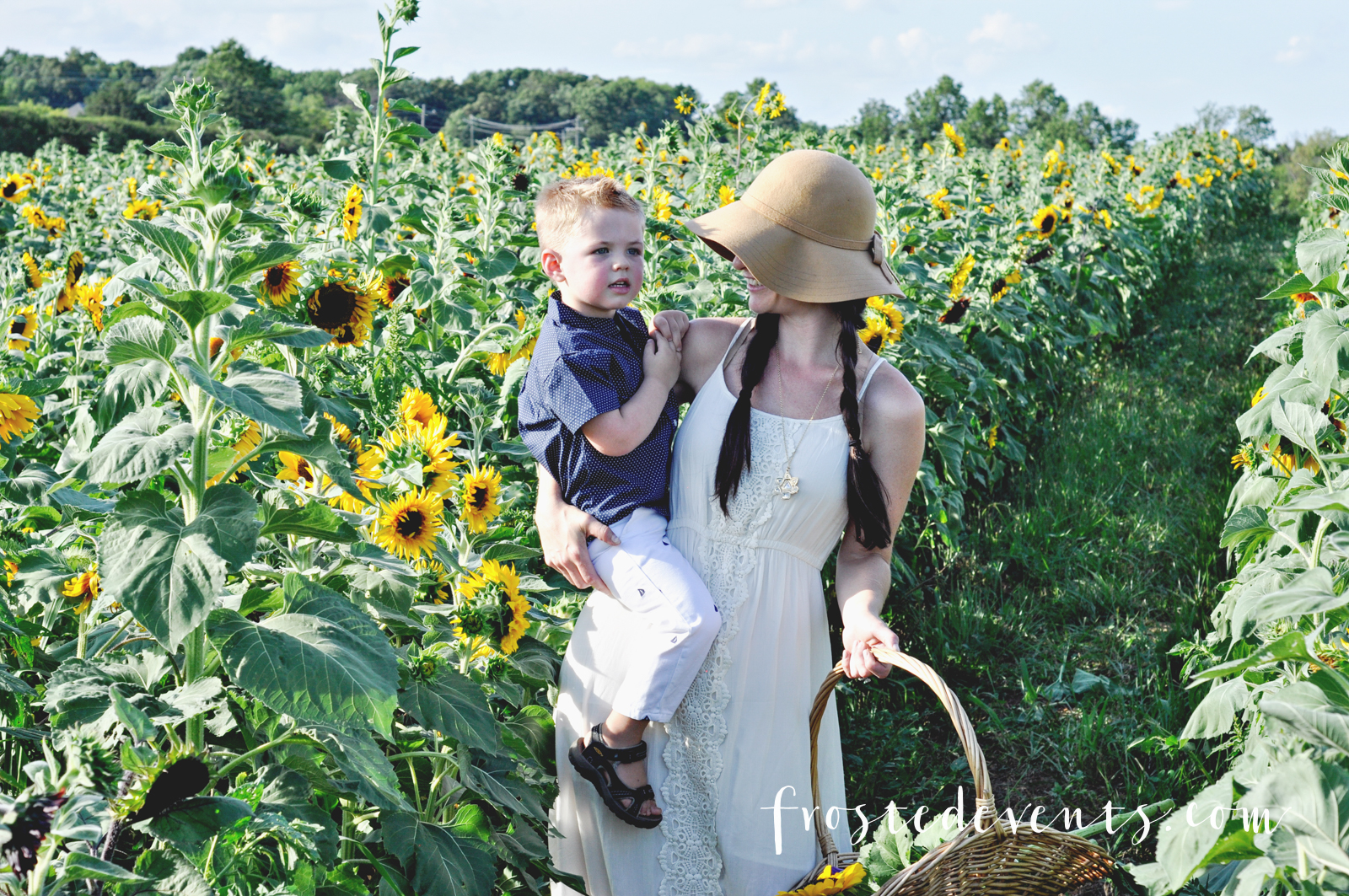 Sunflowers Burnside Farms Virginia Fun for Kids Kid Friendly Places 
