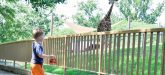 Things to do in Baltimore Maryland Zoo fun for kids Free Zoo Pass FritoLay mommy blog frostedevents.com @frostedevents