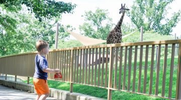 Things to do in Baltimore Maryland Zoo fun for kids Free Zoo Pass FritoLay mommy blog frostedevents.com @frostedevents