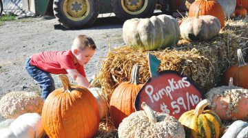 Leesburg Animal Park Pumpkin Village Northern Virginia Things to do with Kids via mom blogger Misty Nelson @frostedevents VA DC MD moms