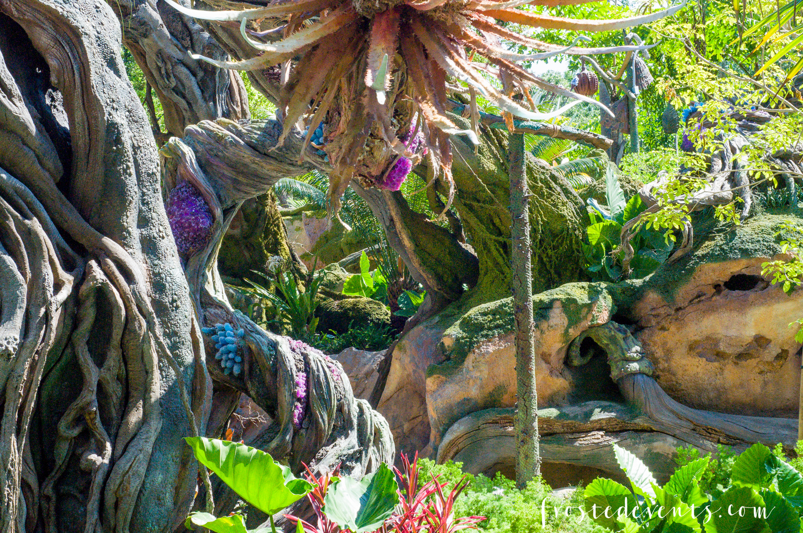 Disney Pandora World of Avatar at Disney's Animal Kingdom Theme Park Walt DIsney World Orlando Florida via travel blogger Misty Nelson family vacation 