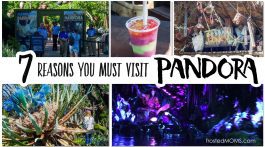 Disney Pandora Avatar World Animal Kingdom Walt Disney World Resorts Disney family vacation via mom blogger Misty Nelson family travel blog #WDWresorts #visitPandora