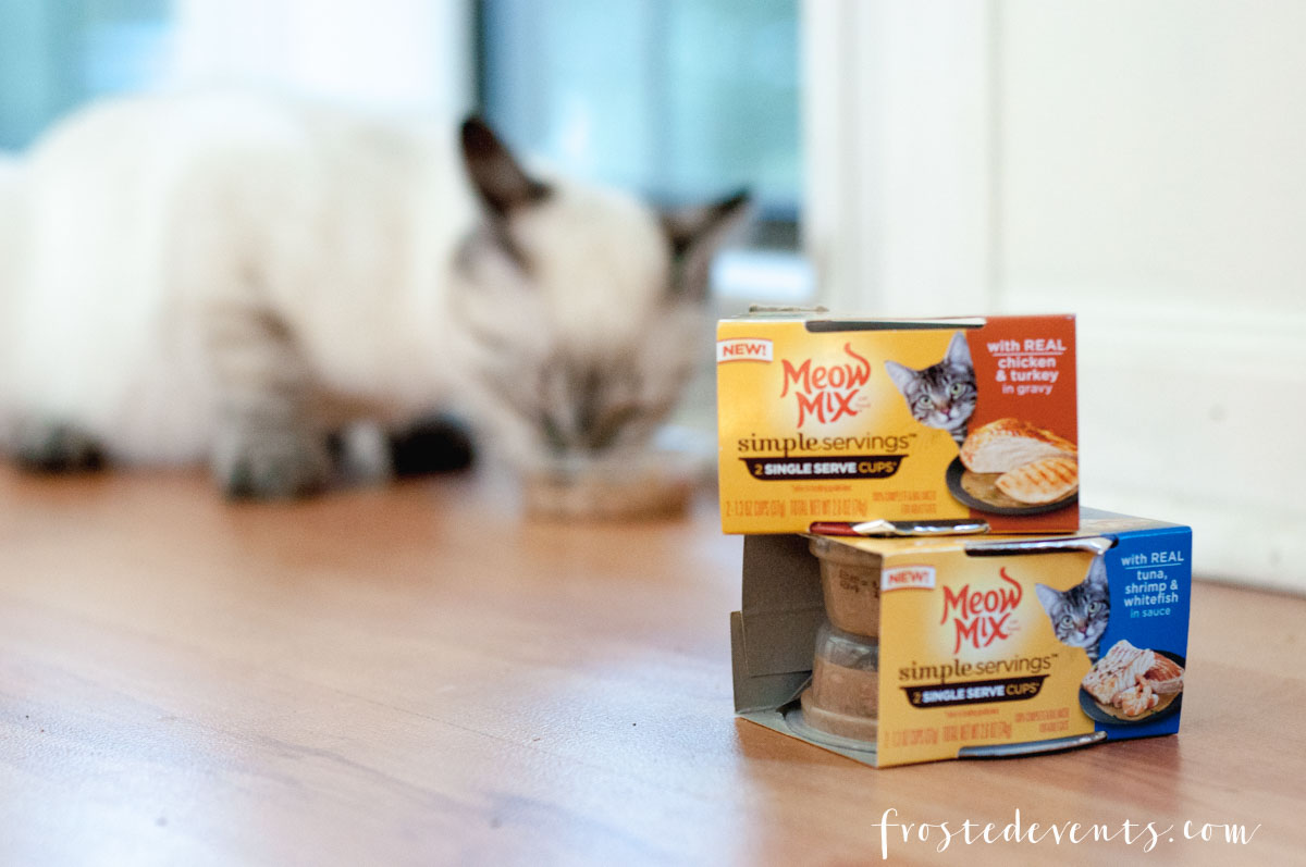 8 Things Your Cat Needs For A Healthy, Happy Life -Catsfood Cat Food Must Haves 