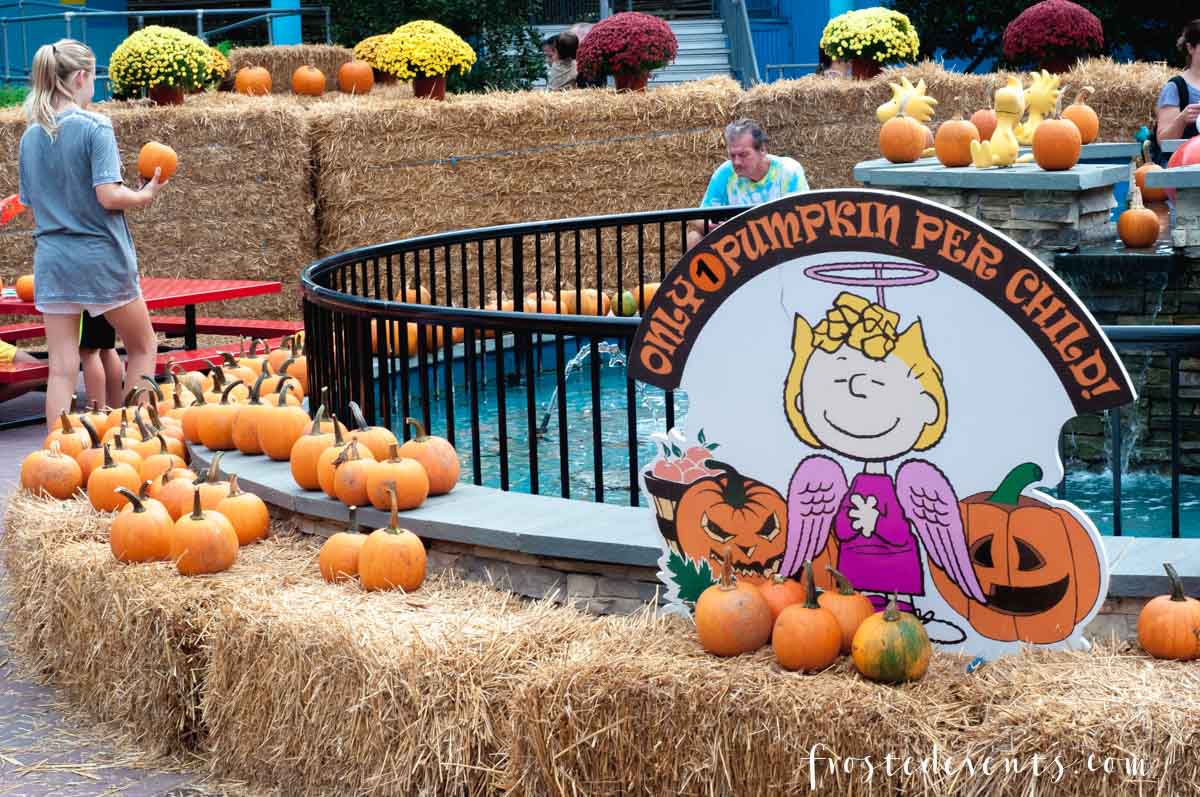 Kings Dominion Halloween Fun Great Pumpkin Fest - Things to Do in Northern Virginia, Family Friendly events via Misty Nelson, mom blog frostedmoms.com 
