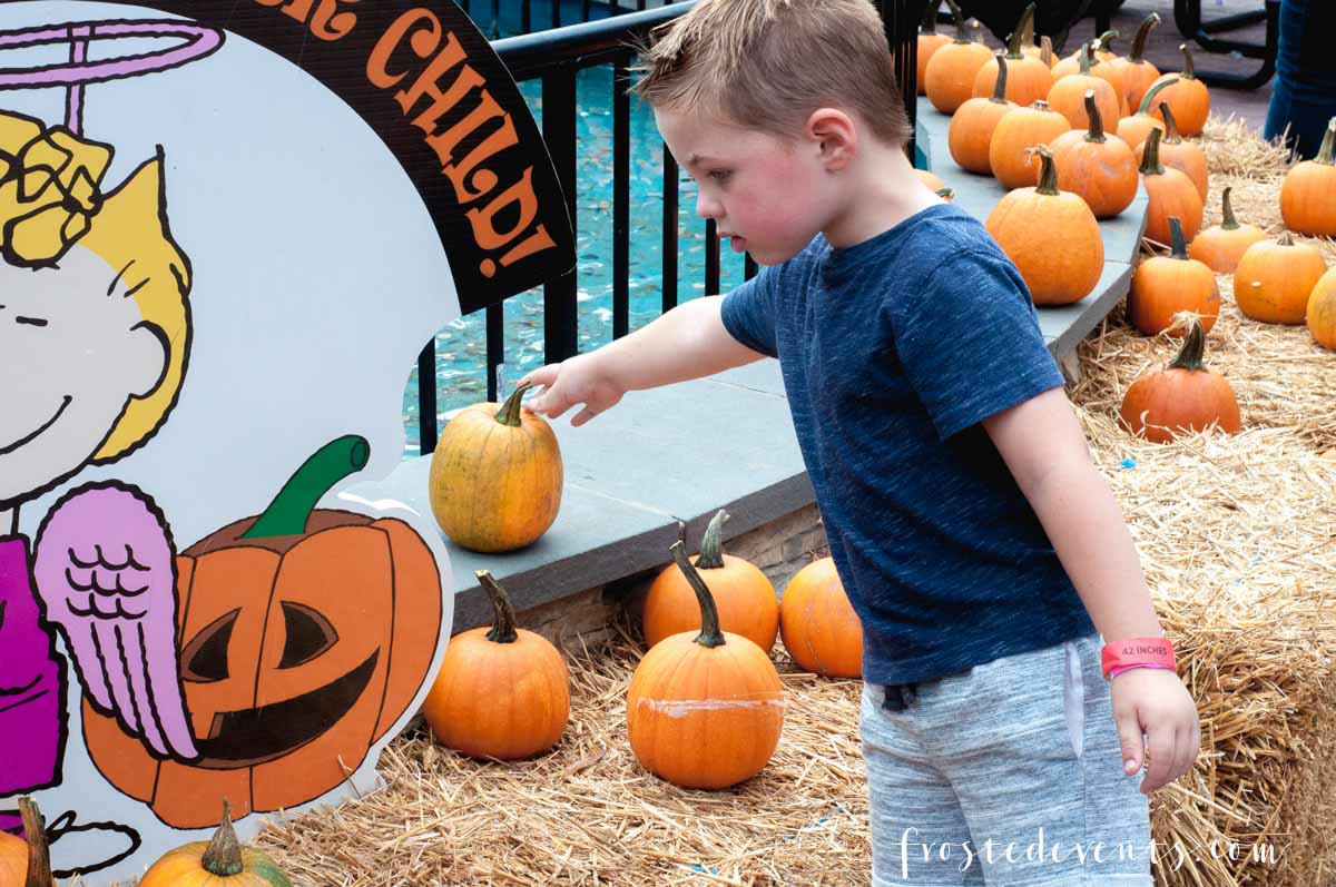 Kings Dominion Halloween Fun Great Pumpkin Fest - Things to Do in Northern Virginia, Family Friendly events via Misty Nelson, mom blog frostedmoms.com 