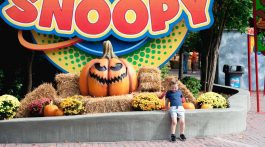 Kings Dominion Halloween Fun Great Pumpkin Fest - Things to Do in Northern Virginia, Family Friendly events via Misty Nelson, mom blog frostedmoms.com
