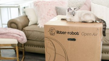 Self Cleaning Cat Litter Box Litter Robot Kitty Essentials