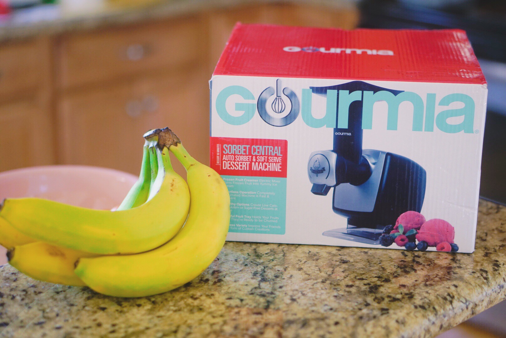 Kitchen Essentials - Gourmia Sorbet and Smoothie Maker - You Can Shop For no eBay - ebay home goods via Misty Nelson, lifestyle blogger ad parenting influencer mom at frostedblog @frostedevents 