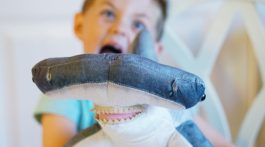 Shark Week 2018 - Fun Activities and Games for Kids via Misty Nelson, frostedblog -- frostedevents.com #sharkweek #sharks #kidstoys #games