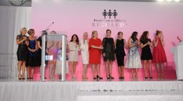 Breast Cancer Alliance- Breast Cancer Awareness Charity Auction