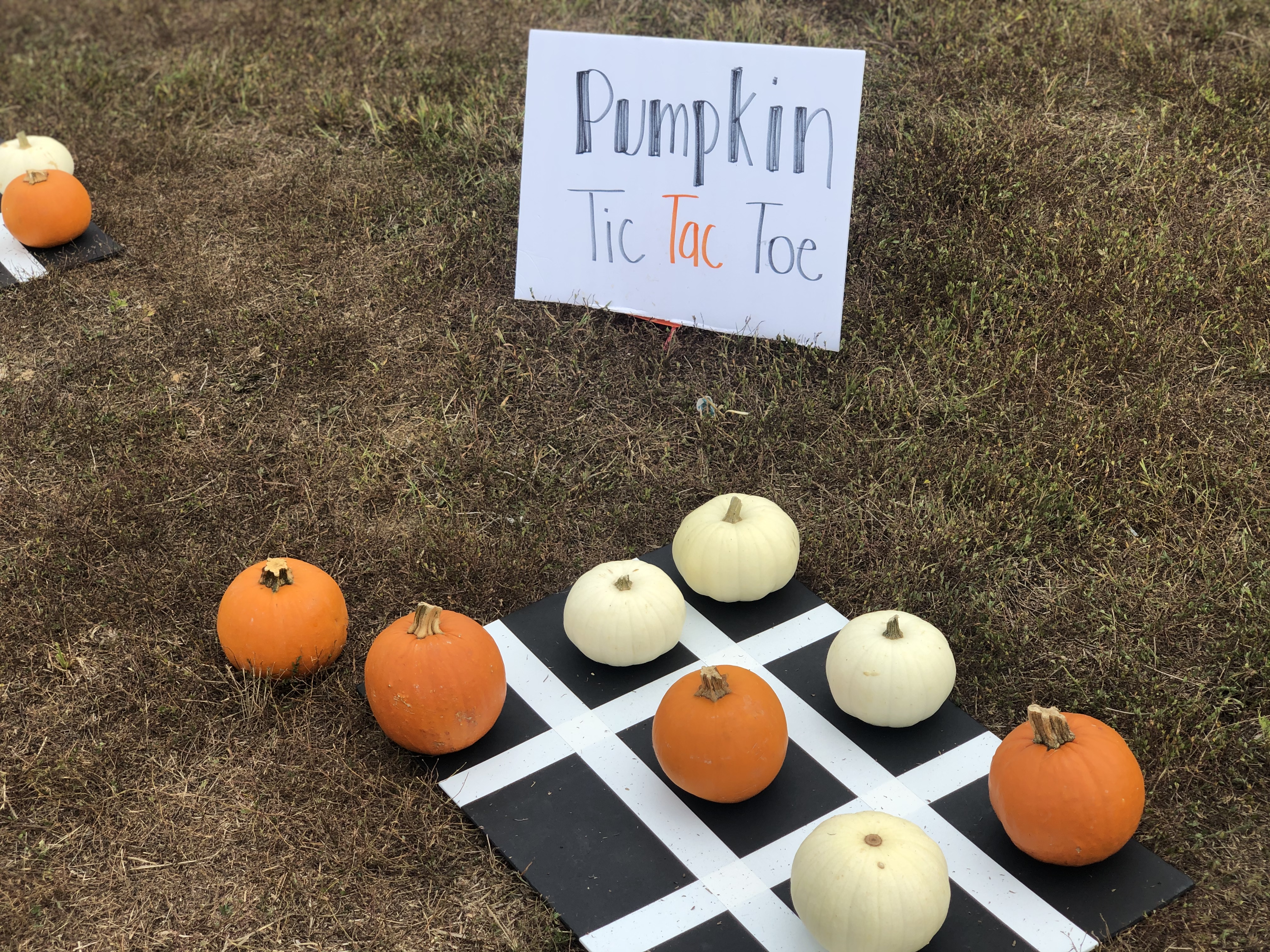 Halloween Games for Kids - Pumpkin Tic Tac Toe - Fun Kids Games via Misty Nelson, mom blogger @frostedevents