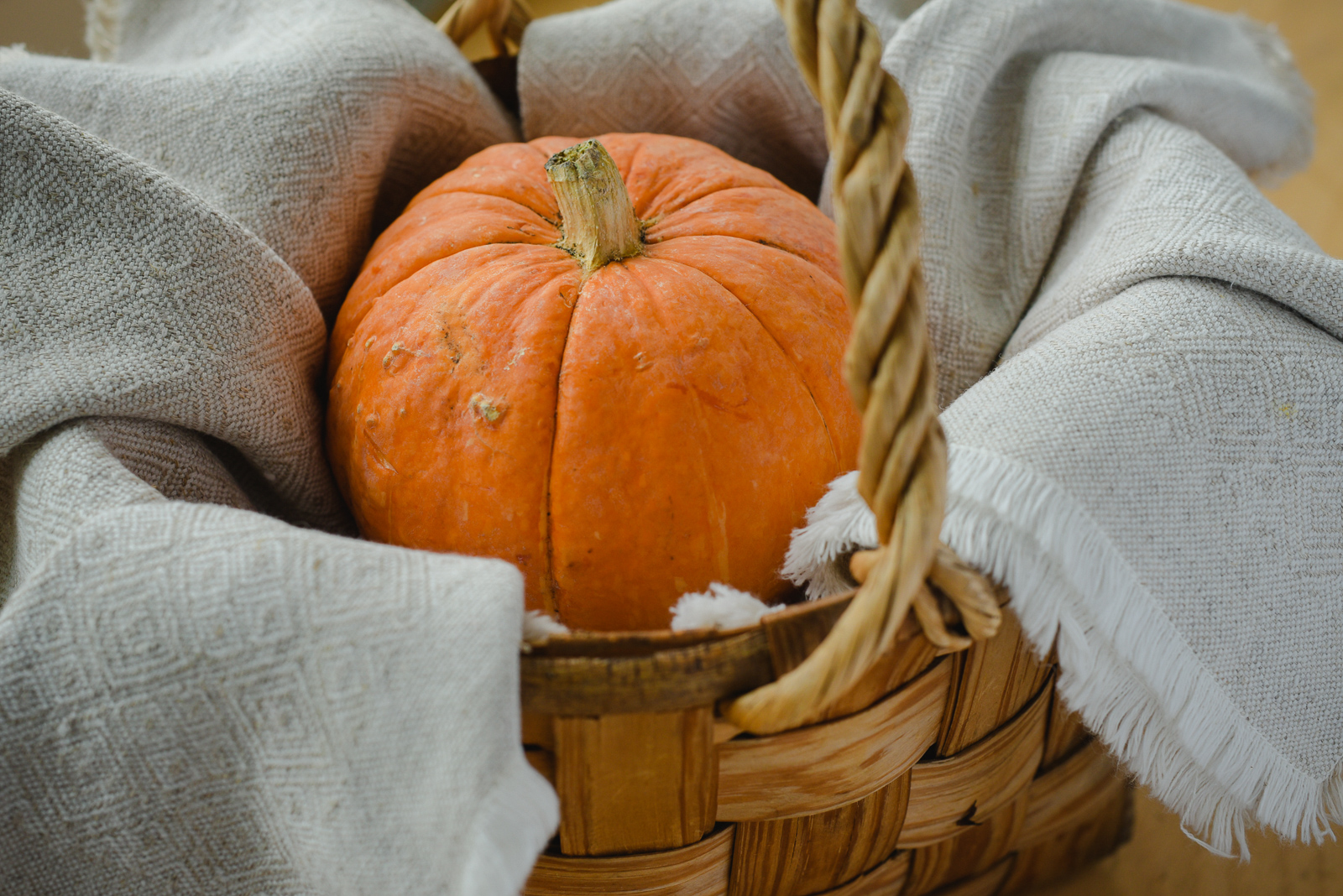 Pumpkin Farm Near Me- Pumpkin Patches, Pumpkin Picking and Pumpkin Ideas via Misty Nelson @frostedevents 