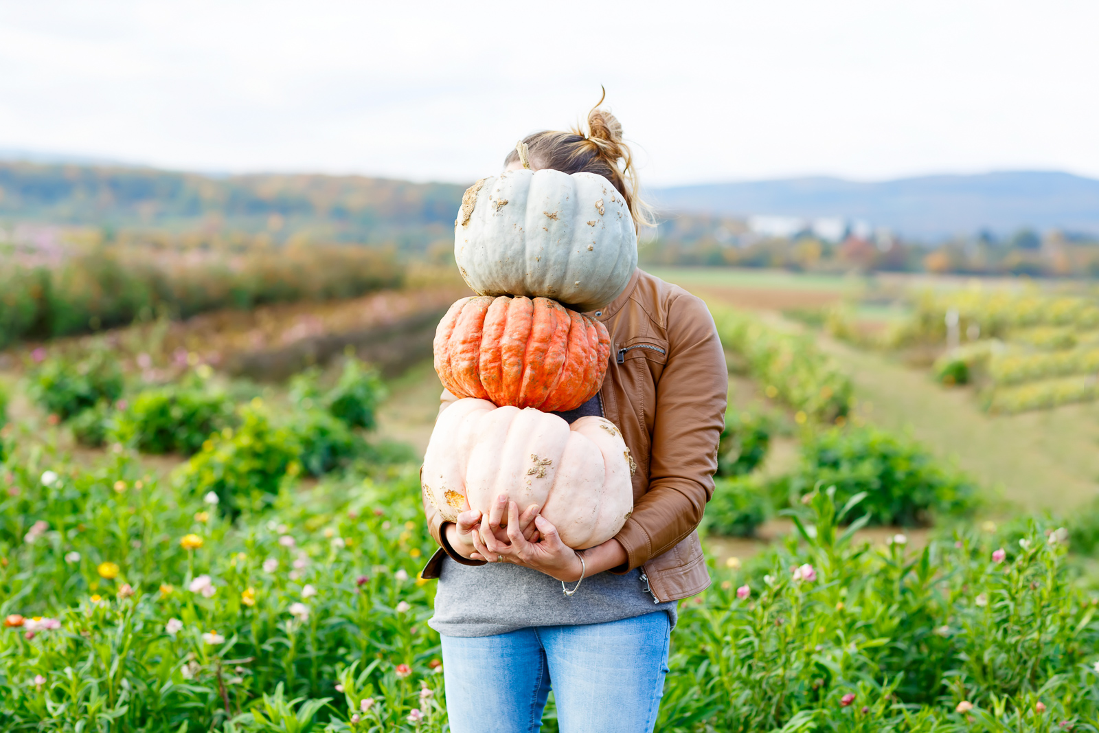 Pumpkin Farm Near Me- Pumpkin Patches, Pumpkin Picking and Pumpkin Ideas via Misty Nelson @frostedevents