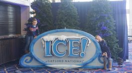 Gaylord National Resort - ICE! 2019 Christmas on the Potomac - Holiday Events Washington DC