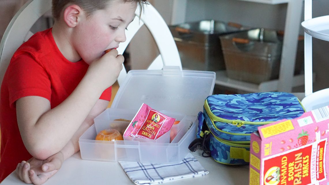 5 Easy Lunch Box Ideas for Packing Kid's School Lunches