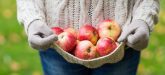 Apple Orchard near me - where to pick apples and apple recipes