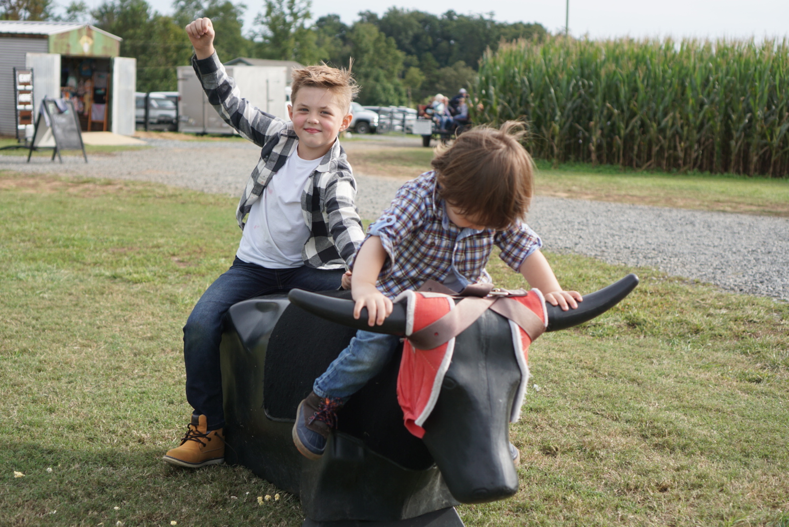 Corn Mazes in NC - Pumpkin Patches and Fall Things to Do - North Carolina - Alpha and Omega - bull rides
