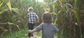Corn Maze NC - Pumpkin Patches and Fall Things to Do - North Carolina - Alpha and Omega