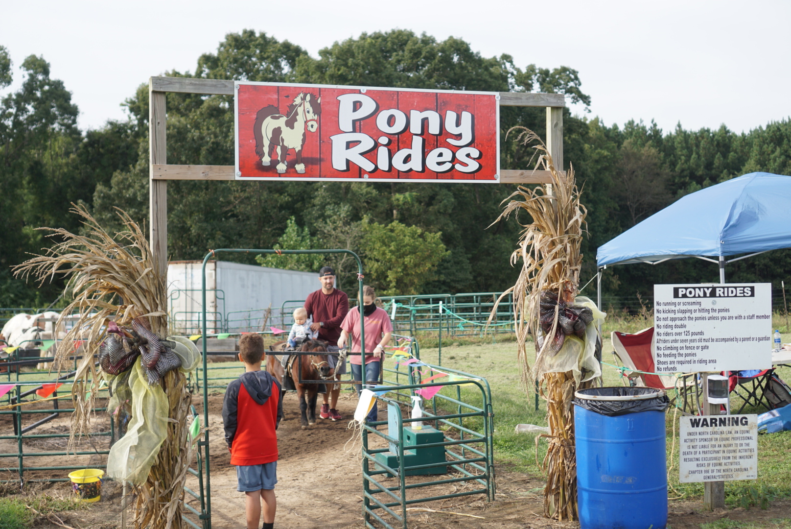 Corn Mazes in NC - Pumpkin Patches and Fall Things to Do - North Carolina - Alpha and Omega - pony rides