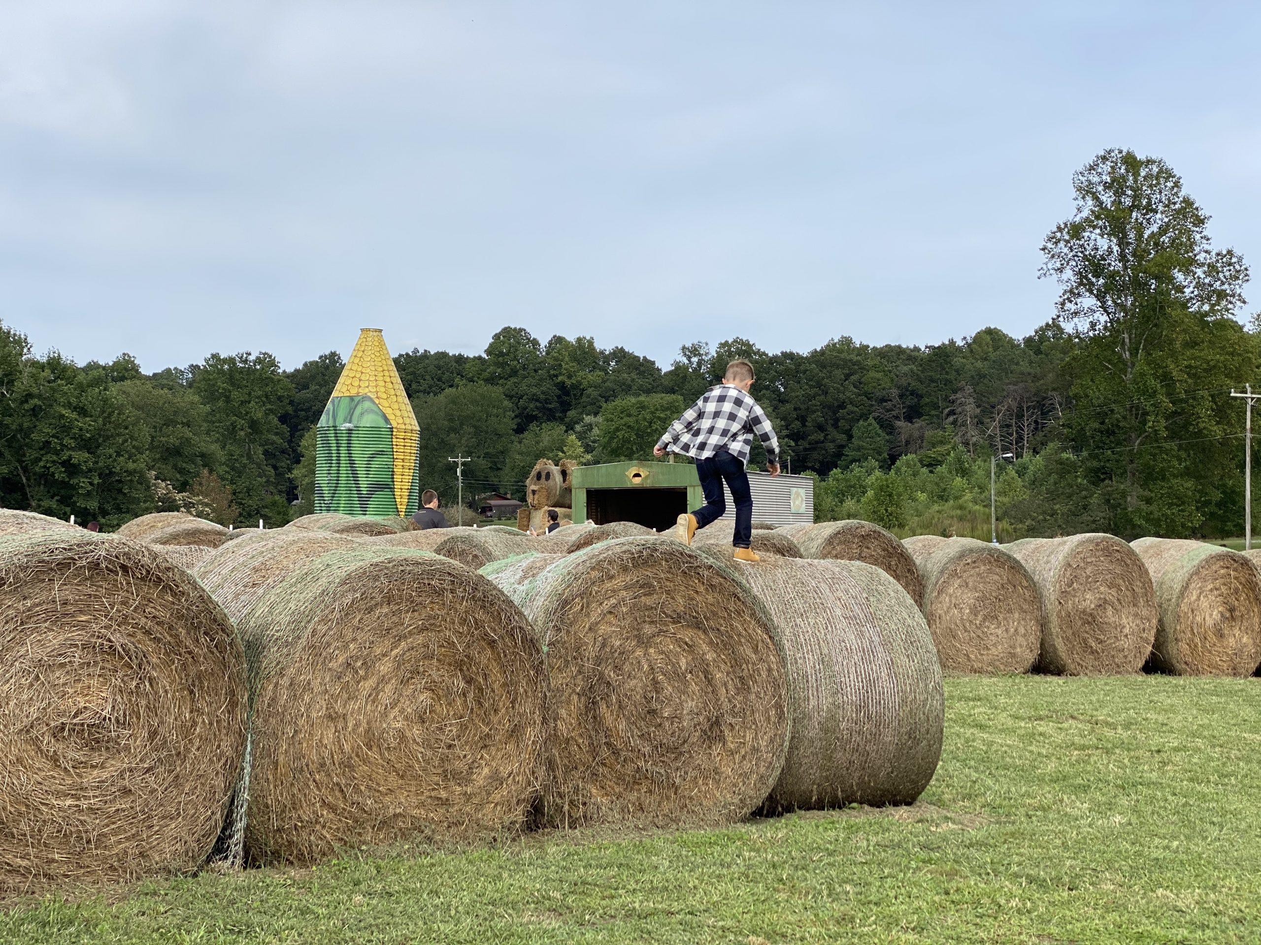 Corn Mazes in NC - Pumpkin Patches and Fall Things to Do - North Carolina - Alpha and Omega - Hay bale jumping