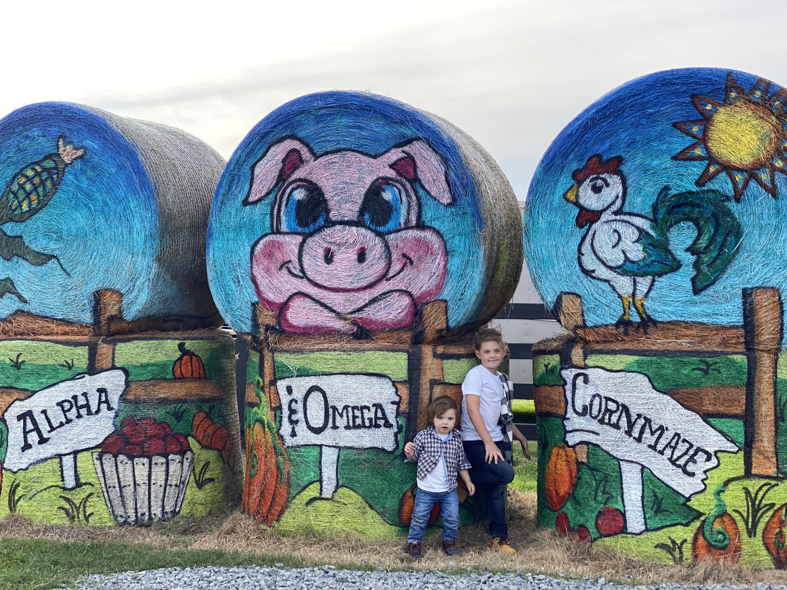 Corn Maze NC - Pumpkin Patches and Fall Things to Do - North Carolina 