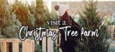 Christmas Trees Near Me - Cut Your own tree farm- Holiday Bucketlist