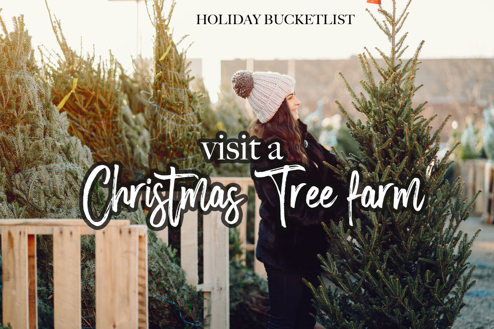 Christmas Trees Near Me - Cut Your own tree farm- Holiday Bucketlist