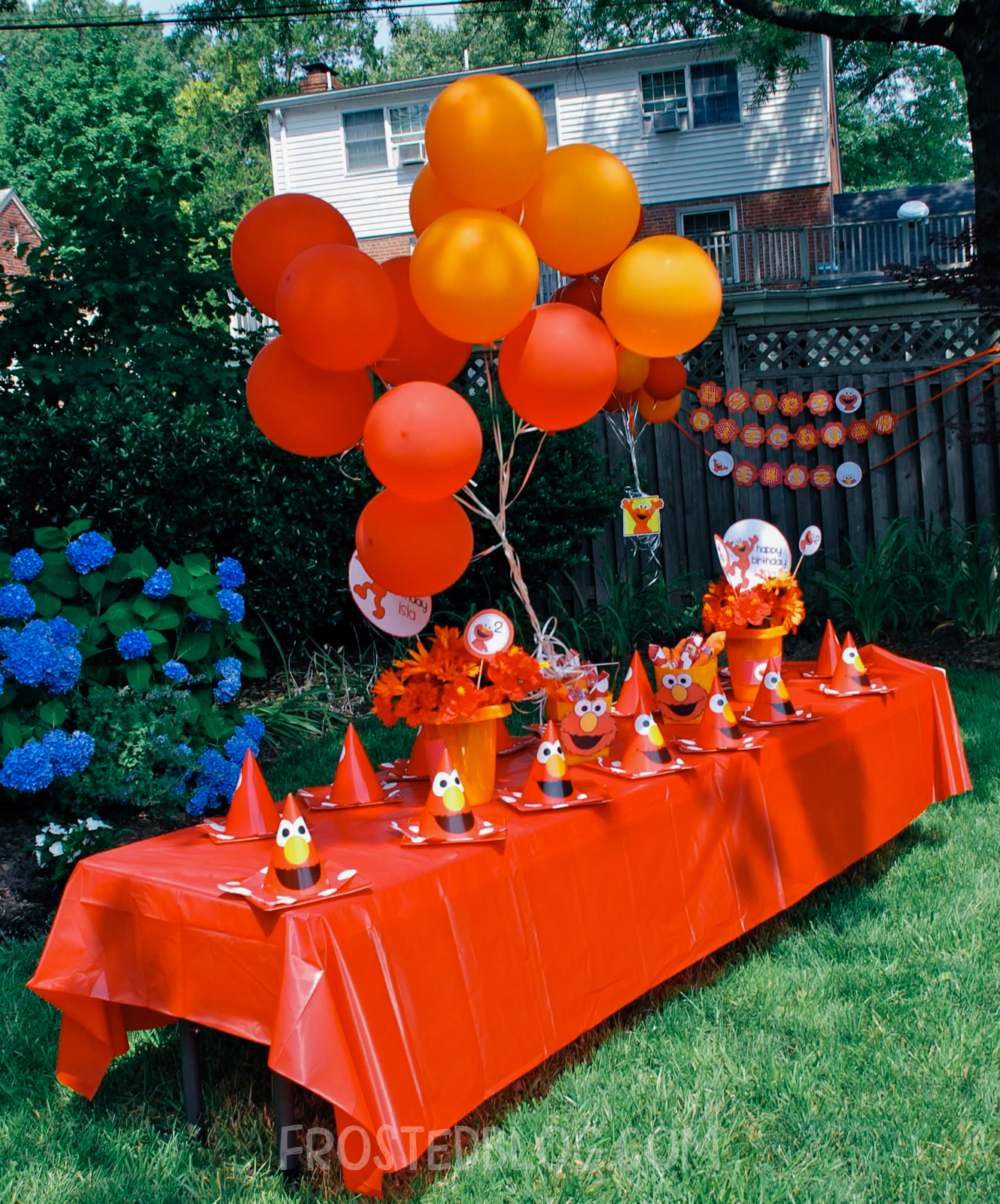 Elmo Birthday party by frostedevents  elmo decorations