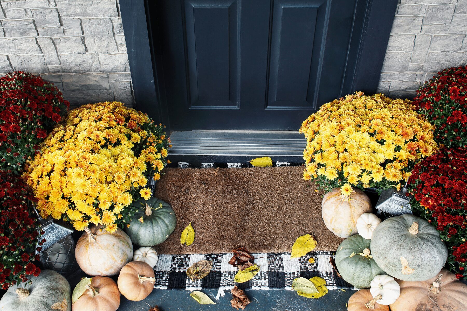 The Secret to Keeping Mums Alive and Blooming All Fall