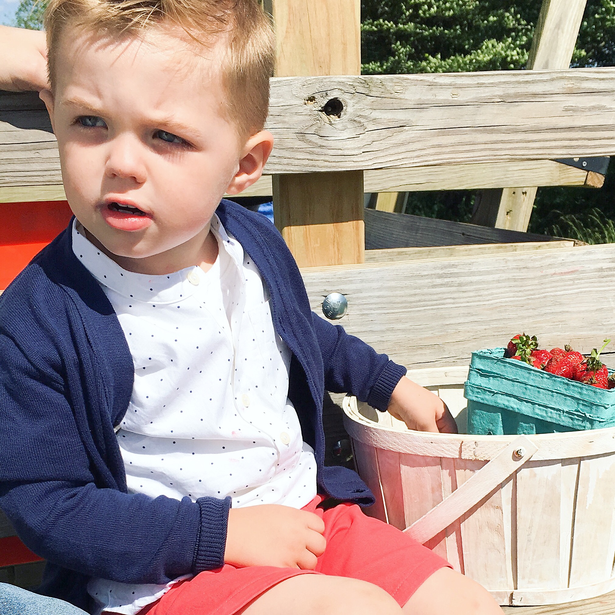 Best Berry Picking Places in the Triad