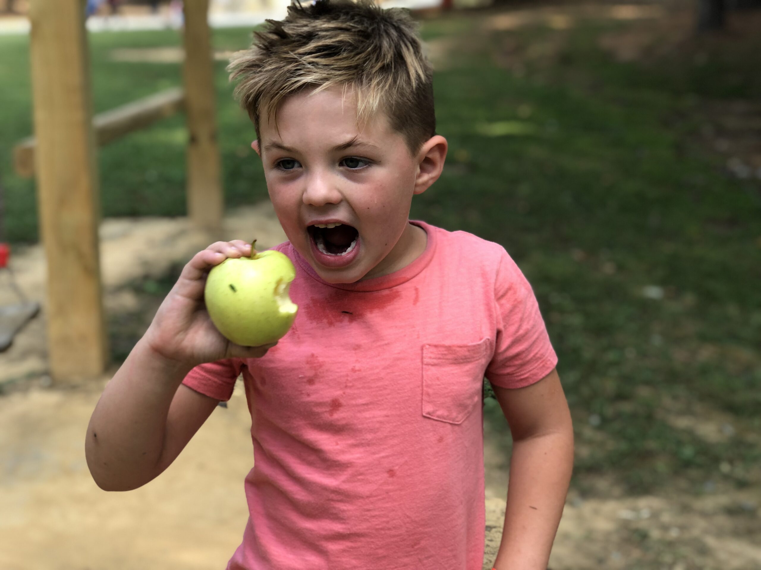 Millstone Creek Orchards: Where Family Fun and Fresh Apples Collide