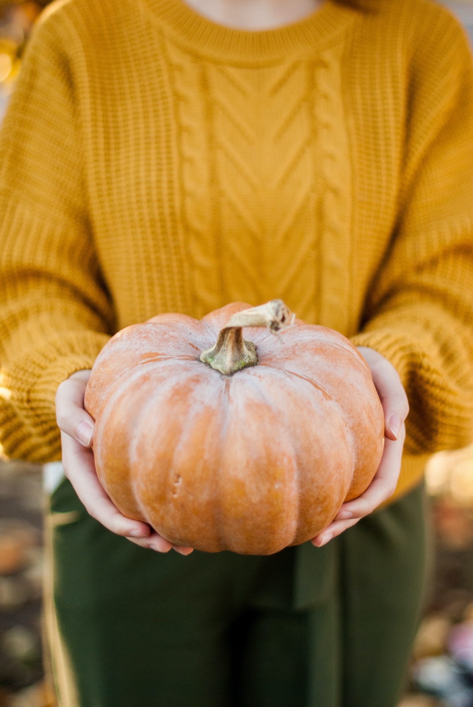 How To Make Your Pumpkins Last Longer